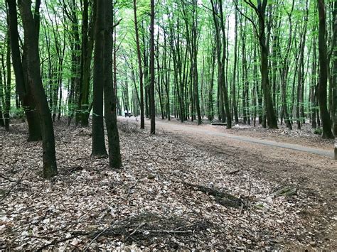 THE 10 BEST Places to Visit in Nijverdal (2026) - Must-See Attractions