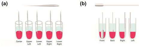 Accelerating Payload Release from Complex Coacervates through ...