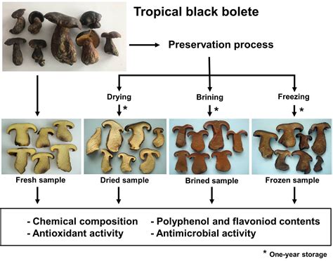 Comparative Evaluation of Chemical Composition, Phenolic Compounds, and ...