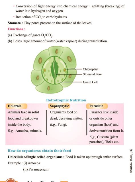 Image result for Class 10 Science Life Processes Notes