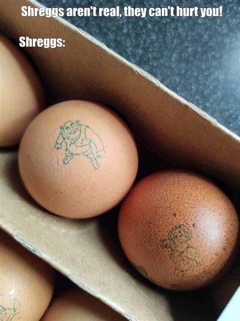 Image result for Shrek Script Memes