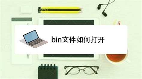 BIN文件是什么类型