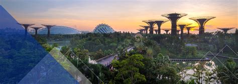 Environment & Impact | Otis