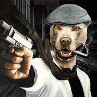 Image result for API Get SPX Opening Price Python