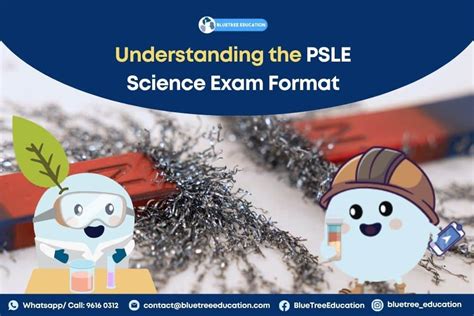 Image result for PSLE Science Explained