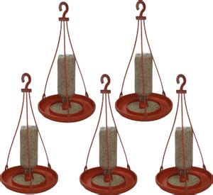 Ved Industries Bird Food Feeder Bottel with Hanging Hook ( Terracotta ...
