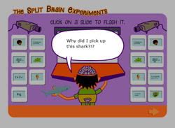 Contact Split Brain Behavioral Experiments 的图像结果