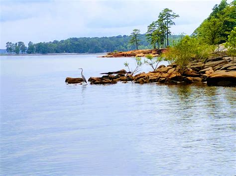 North Bend Park Campground in John H. Kerr Dam and Reservoir, Virginia ...
