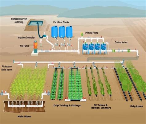 Image result for Irrigation Fertilizer Injection System