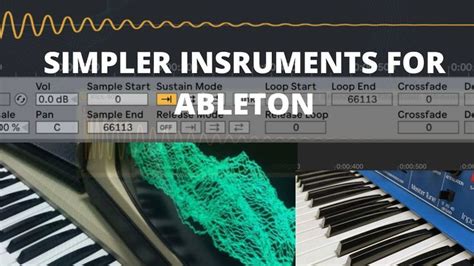 How to Use Simpler Ableton 的图像结果