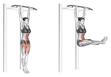4 Effective Hanging Leg Raise Alternatives (With Pictures!) - Inspire US
