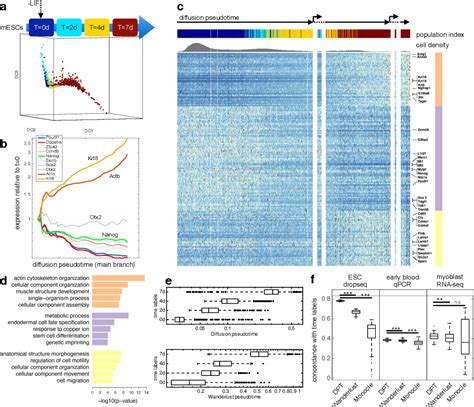 Diffusion Maps Pseudo-Time 的图像结果