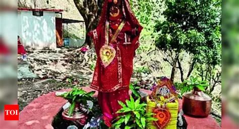 Environmental Conservation: In Bageshwar, trees married off to push ...