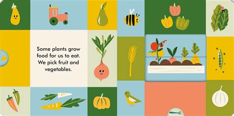 Rezultat imagine pentru Magic Windows