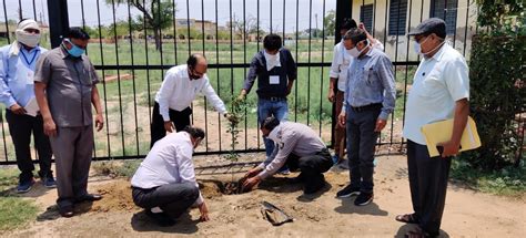 Best University in Rajasthan, India- MSBrij University, Bharatpur