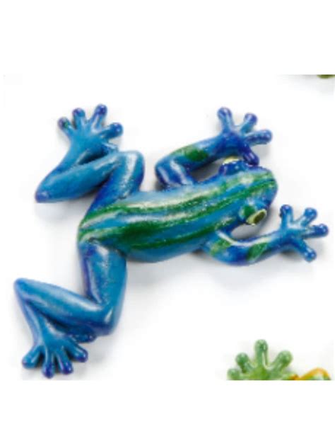 Frog Magnet - Discover Wild Birds, Find Joy!