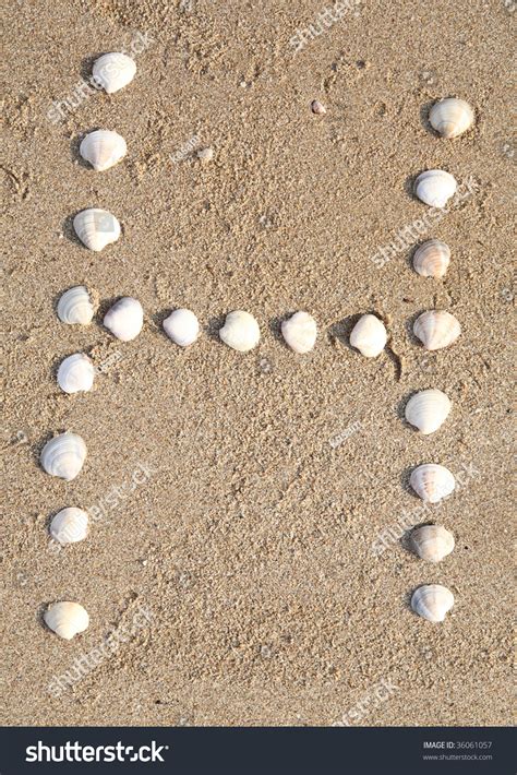 Image result for Leter H Shell