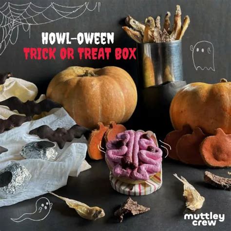 The Muttley Crew Howl-oween Treat Box - Bangalore Only – Muttley Crew ...