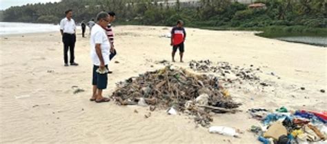 Mass fish deaths at Velsao: Livelihoods of 400 fisherfolk at risk, says NGO