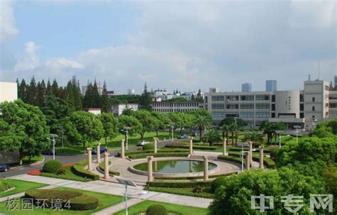 同济大学继续教育学院金福安院长一行调研世赛（上海）研究中心