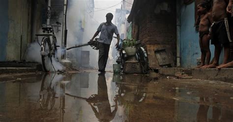 Karnataka reports six dengue deaths in 20 days - IBTimes India