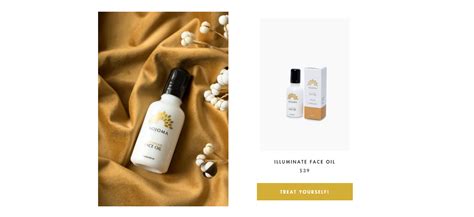 Best Shopify Examples of 2024 – Proving Our Web Excellence