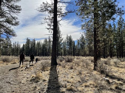 Peterson Ridge Trails — SISTERS TRAILS ALLIANCE