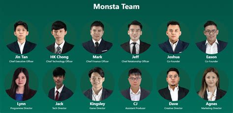 Monsta infinity. Сильный проект или пустые амбиции? — Teletype