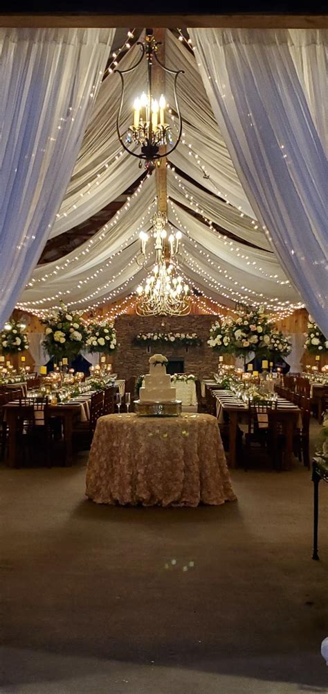 Image result for Scratch Pen Extra Light