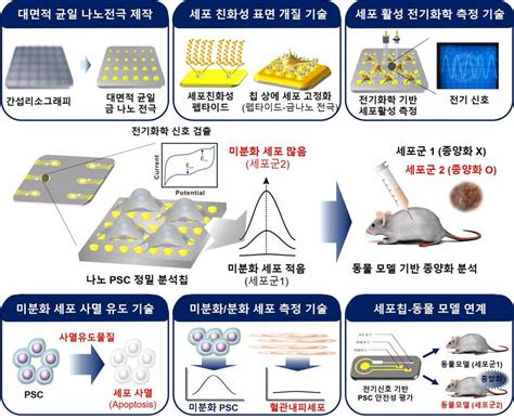Image result for Problem Formulation Process