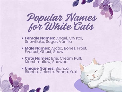 Cute Kitten Names White