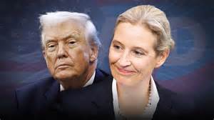 Alice Weidel Partner
