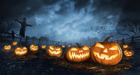 [100+] Jack O Lantern Wallpapers | Wallpapers.com