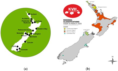 Plants | Free Full-Text | Development, Management and Utilization of a Kiwifruit (Actinidia spp ... - species of kiwi