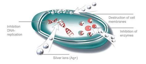 Benefits of Silver Ions in Silver Healing Plaster for Wound Care