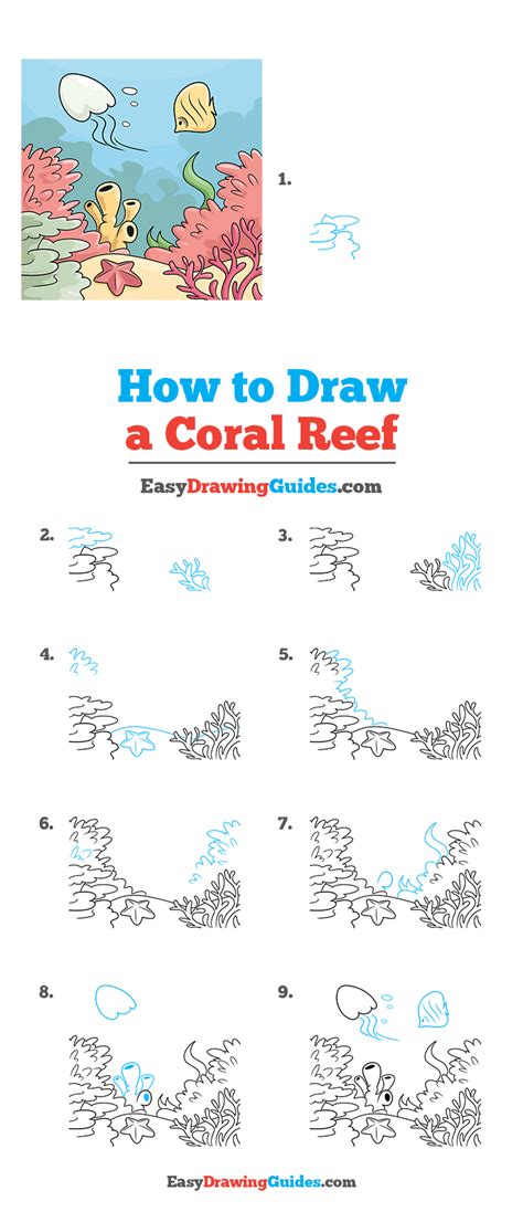 Image result for Draw Coral Reef