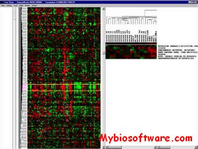 How to Use TreeView 的图像结果