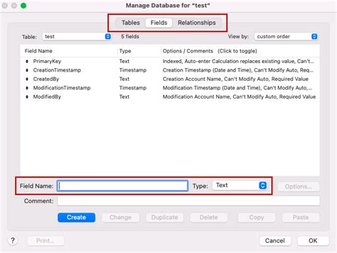 FileMaker Beginner Basics 的图像结果