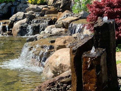 Pond Design Ideas 的图像结果