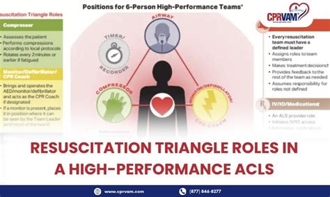 What Are the Key Resuscitation Triangle Roles in ACLS?