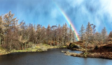 Download wallpaper forest, lake, rainbow, section landscapes in ...