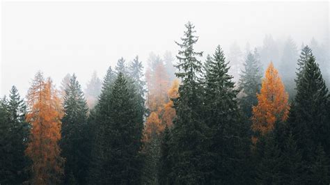 Image result for JavaScript Validation