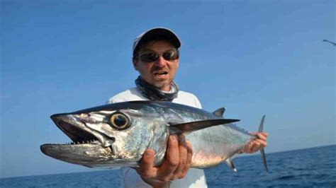 Game Fishing in the Andamans | Andaman Tour