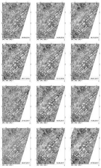 Remote Sensing | Special Issue : Advances in Ground-Penetrating Radar ...