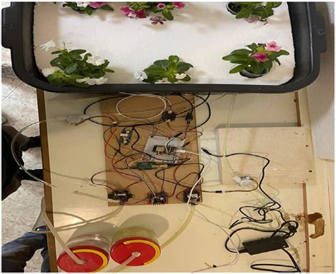 Prototype Projects 的图像结果