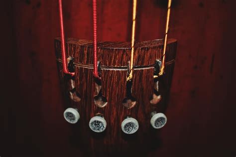 Image result for String Instruments