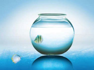 梦见水和鱼是什么意思预兆 - 原版周公解梦大全