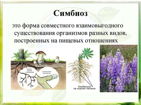 Биотические взаимодействия - презентация онлайн