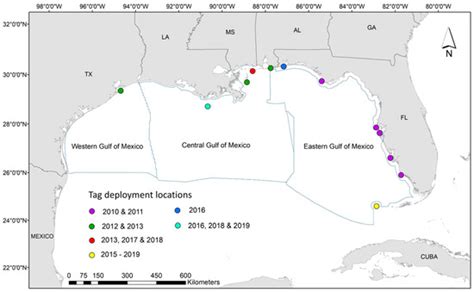 The Influence of Satellite-Derived Environmental and Oceanographic ...