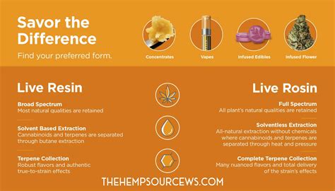 What is The Difference Between Live Rosin vs. Live Resin
